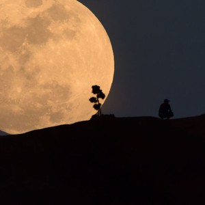 ظاهرتين فلكيّتين في سماء السعودية فجر الإثنين..القمر العملاق الدامي والخسوف في لحظة واحدة