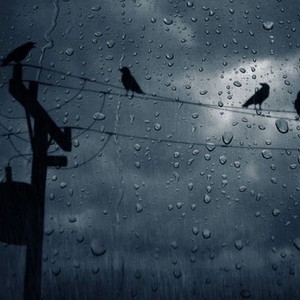 الجزائر: إضطرابات جوية وأمطار غزيرة منتظرة على شمال البلاد 