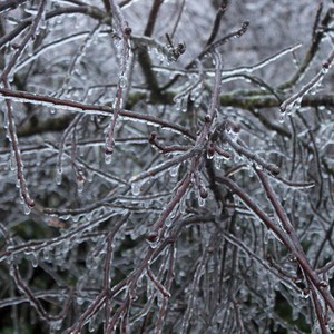 النشرة الجوية الشهرية لشهر ديسمبر في سوريا