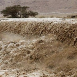 مندوب طقس العرب  ينقل لنا مشاهد للسيول المنقولة في منطقة جرف الدراويش الان
