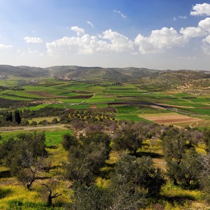 ارتفاع طفيف على درجات الحرارة خلال عطلة نهاية الأسبوع واستمرار الأجواء الربيعية المُشمسة