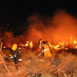  الرياح تتسبب بحرق 50 فدان من الأراضي الزراعية بمصر 