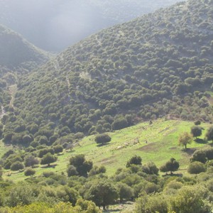 حالة الطقس ودرجات الحرارة العظمى والصغرى ليوم الجمعة 25/1/2019