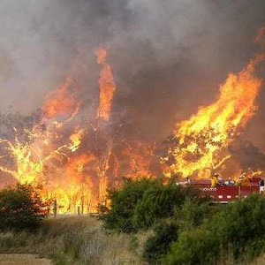 فرق دولية تتدخل للسيطرة على الحرائق بإندونيسيا 