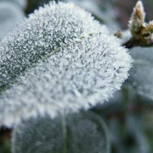 حالة الطقس المتوقعة في مختلف مُدن المملكة ليوم الاثنين 7/1/2019