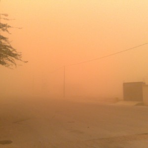 الأربعاء: موجات من الغُبار تجتاح العديد من المناطق