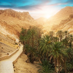 الطقس في المغرب العربي: موجة حارة تؤثر على المناطق الداخلية من الجزائر وصوًلا لأجزاء من تونس.. يبقى الطقس معتدًلا على السواحل الليبية