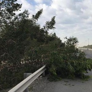 رياح البوارح تتسبب في أضرار ماديّة بالفجيرة والساحل الشرقي للإمارات