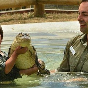 بالصور: طفل أسترالي في الخامسة هوايته اللعب مع التماسيح والثعابين