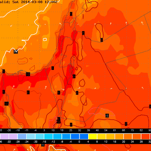 في قلب الشتاء .. درجات الحرارة تتجاوز الثلاثين مئوية في بعض مدن البلاد نهار السبت  