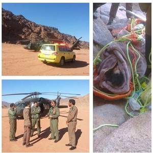 في مُهمة صعبة .. الدفاع المدني  يُنقذ مُصابا يزن 160 كيلوجراماً سقط من مرتفع جبلي 