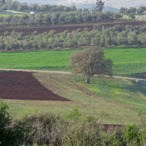 حالة الطقس ودرجات الحرارة العظمى والصغرى ليوم الجمعة  1/2/2019
