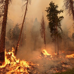 الأردن: تنبيه من تزايد فرص اندلاع حرائق الغابات خلال الموجة الحارة