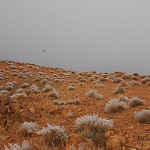  بعد الامطار : كتلة باردة تندفع الى المملكة وليالي باردة بانتظار بعض المناطق