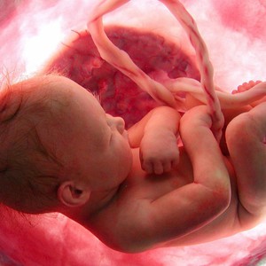 هل الطقس الحار يضر الجنين؟ هل الحرارة تسبب الإجهاض؟