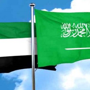 الامارات والسعودية ضمن المراكز الأولى عالميا كأفضل الدول مرونة في التعامل مع جائحة كورونا 