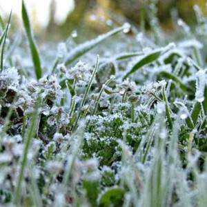 تحديث 6:30م | الكُتلة الباردة تتعمق والحرارة دون الصفر المئوي هذه الليلة في هذه المناطق