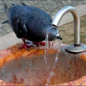 يوم الخميس أجواء حارّة نسبياً منُتظرة ونشاط على سرعة الرياح ..