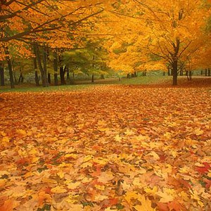 كيف تتغلب على التعب المصاحب لفصل الخريف ؟