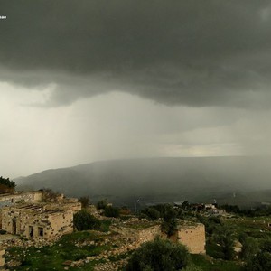 هطول أمطار متفرقة على معظم مناطق لواء الكورة بمحافظة اربد