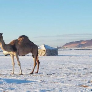 السعودية | موجة صقيع شديدة على المنطقة الشمالية اعتبارا من الليلة و اتساع رقعتها لاحقا