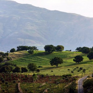 الأربعاء: أجواء صيفية اعتيادية في أغلب مناطق المملكة