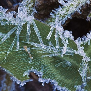 الليلة | طقس بارد إلى شديد البرودة في عموم المناطق