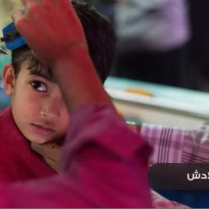 شاهد بالفيديو: جولة في أجواء العيد حول العالم 