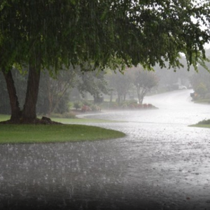 السعودية | أمطار الجنوب تستمر الأربعاء على مرتفعات جازان وعسير والباحة 