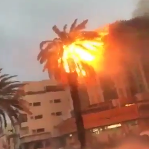 صاعقة رعدية تُشعل النار في نخلة على طريق رئيسي في المدينة المُنورة