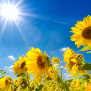 الاثنين | ارتفاع على الحرارة لتقترب من مستوياتها لمثل هذا الوقت من العام