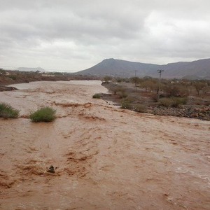  4 وفيات و15 إصابة بسبب الأمطار في "المدينة"