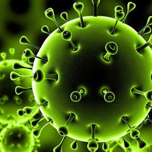 عاجل | وزير الصحة:  6 إصابات  بكورونا في الاردن 