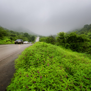شاهد من الفضاء كيف حوّلت الأمطار حفر الباطن إلى رقعة خضراء 