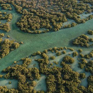 Unseen paradise of the Emirates, incredible natural photos from the Emirates