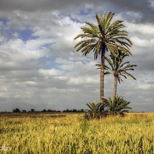 طقس نهاية الأسبوع: استمرار الامطار في غرب البلاد وعلى بعض المناطق الشرقية