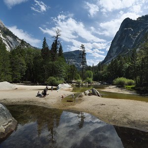 شجرة تقتل طفلين في أمريكا