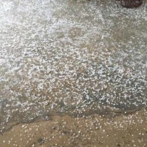 لبنان: امطار وزخات برد في عكار