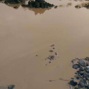 العيص..  أمطار خفيفة إلى متوسطة أمس