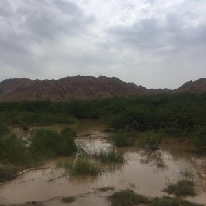 فقدان 5 أشخاص فاجأهم سيل كبير خلال تنزههم في وادي الليث