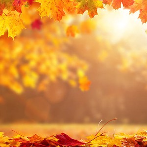 هل غياب الأمطار، حتى الآن يعد أمراً اعتيادياً؟