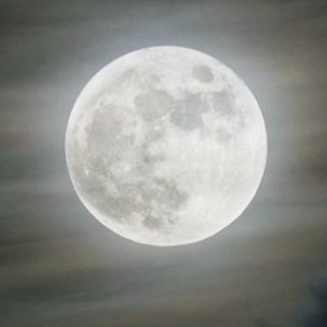 tonight | The harvest moon decorates the sky of the homeland, heralding the arrival of autumn