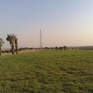  منتزه السهل البري وجهة سياحية جديدة بالقصيم بمساحة 364 مليون متر مربع