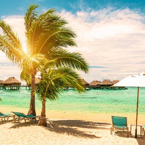 الإثنين 21 يونيو/حزيران .. موعد حدوث الانقلاب الصيفي في النصف الشمالي للأرض