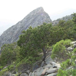 زخات رعدية من الأمطار متوقعة على أجزاء من غرب وجنوب غرب المملكة السبت