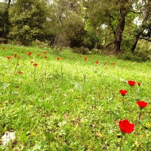 الأردن غداَ .. انخفاض ملموس على درجات الحرارة وعودة الأجواء المعتدلة‎