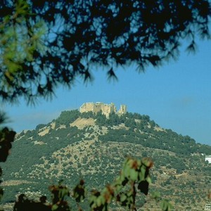 ارتفاع على درجات الحرارة وأجواء مناسبة للرحلات يوم السبت