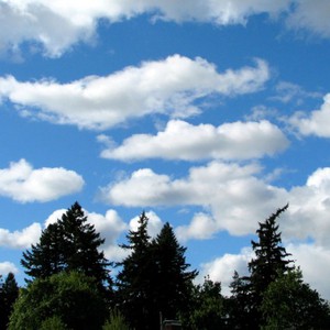 طقس الثلاثاء.. رياح شرقية معتدلة السرعة مع ظهور بعض السحب المتفرقة