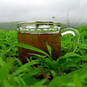    أربع حالات تجعل من الشاي مضراً بشكل واضح للصحة