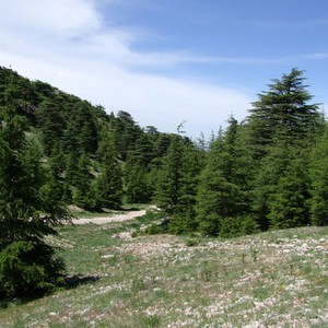 إستمرار التغيرات طفيفة على درجات الحرارة الأحد والإثنين قبل أن ترتفع إعتباراً من الثلاثاء